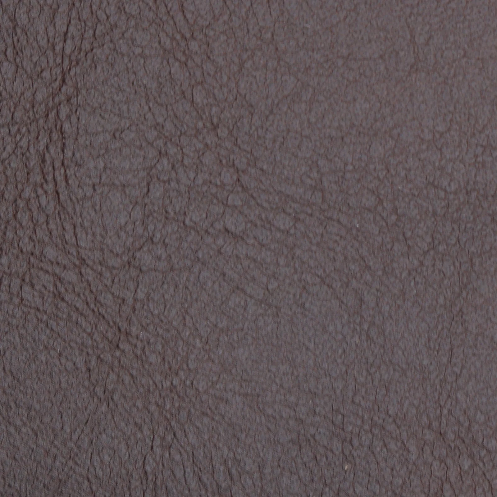 Tiramisu full grain aniline leather